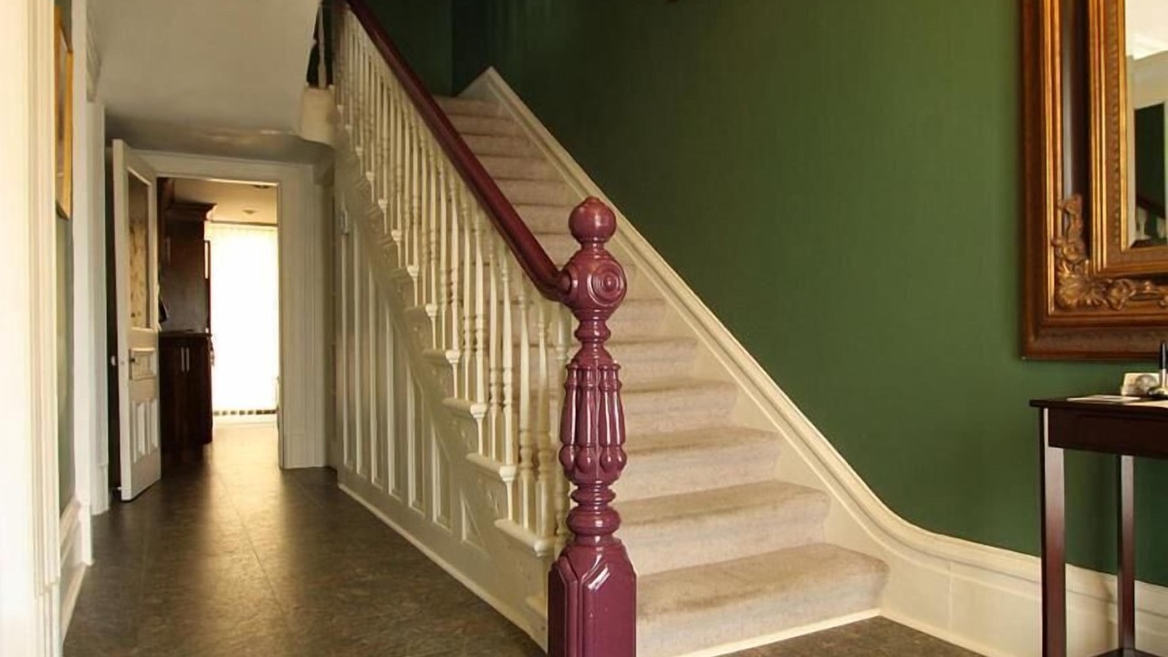 Photo of Others in Downtown St. John's