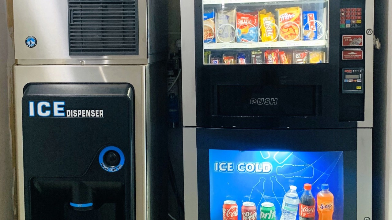 Photo of Others in Wynne