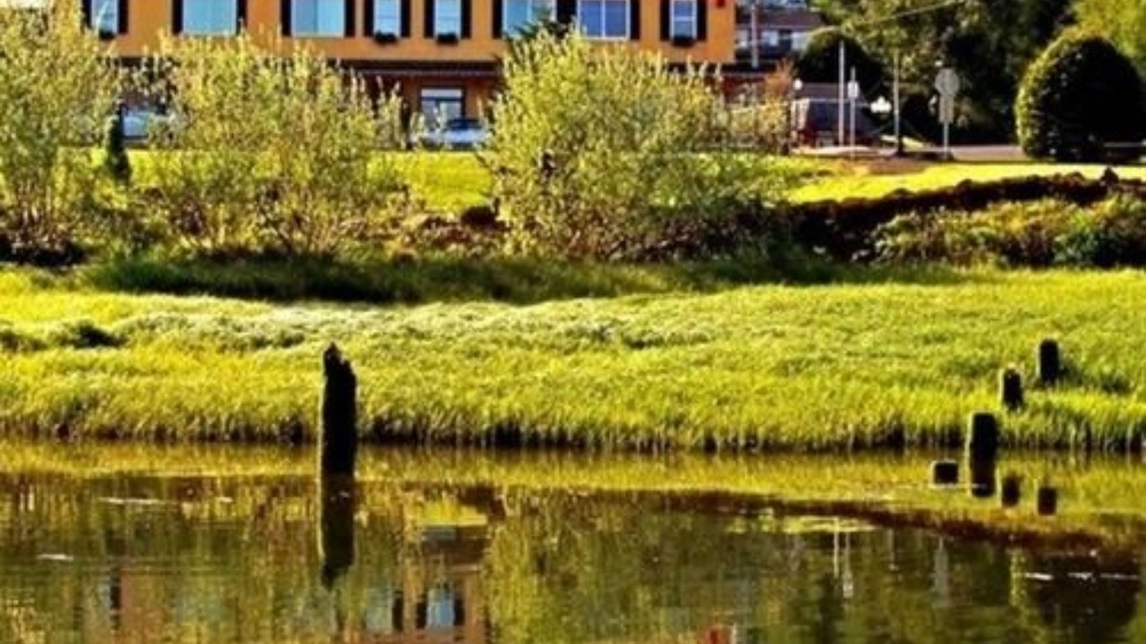 Photo of Outdoor in Wheeler