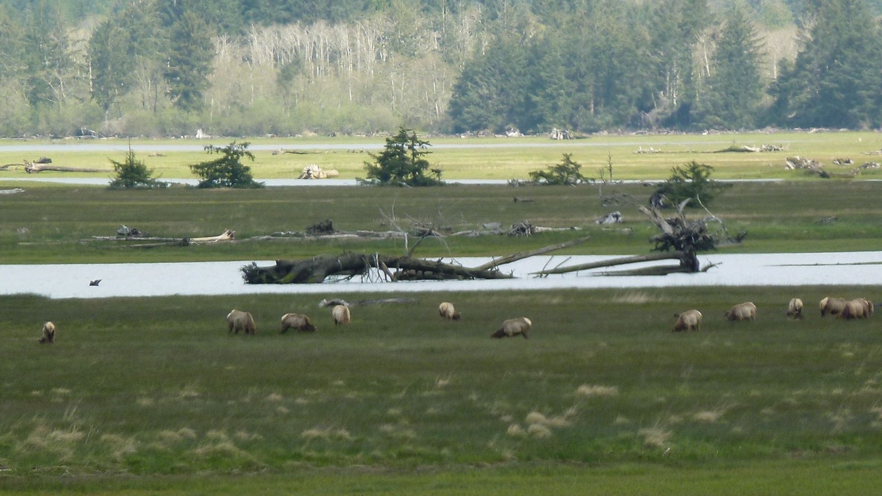 Photo of Others in Wheeler