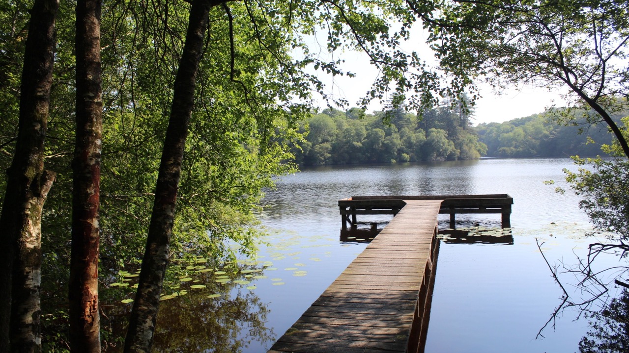 Photo of Outdoor in Vitre