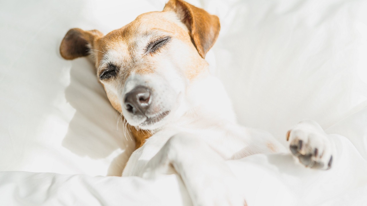 Photo of Others in Pleasant Hill