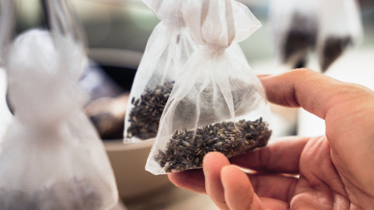 Photo of Others in Bayan Lepas