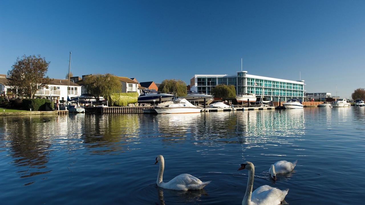 Photo of Outdoor in Christchurch