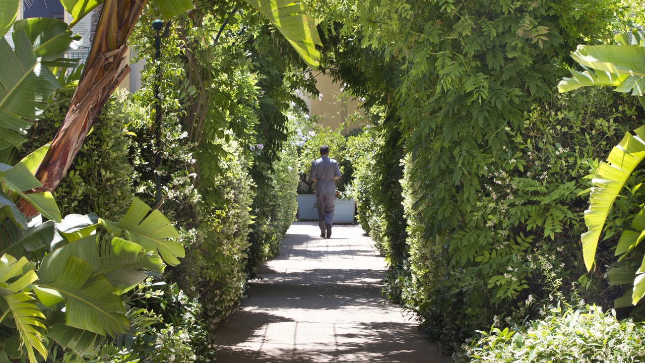 Photo of Outdoor in Saint-Jean-Cap-Ferrat