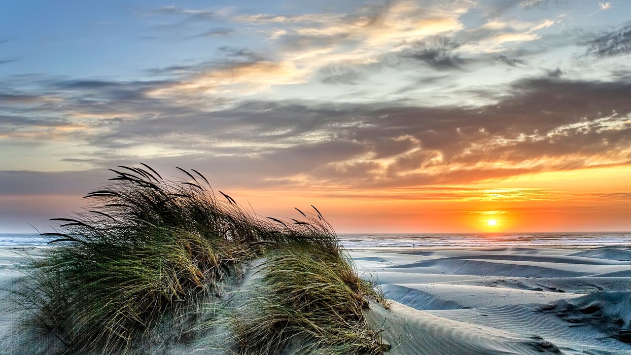 Photo of Others in Newport