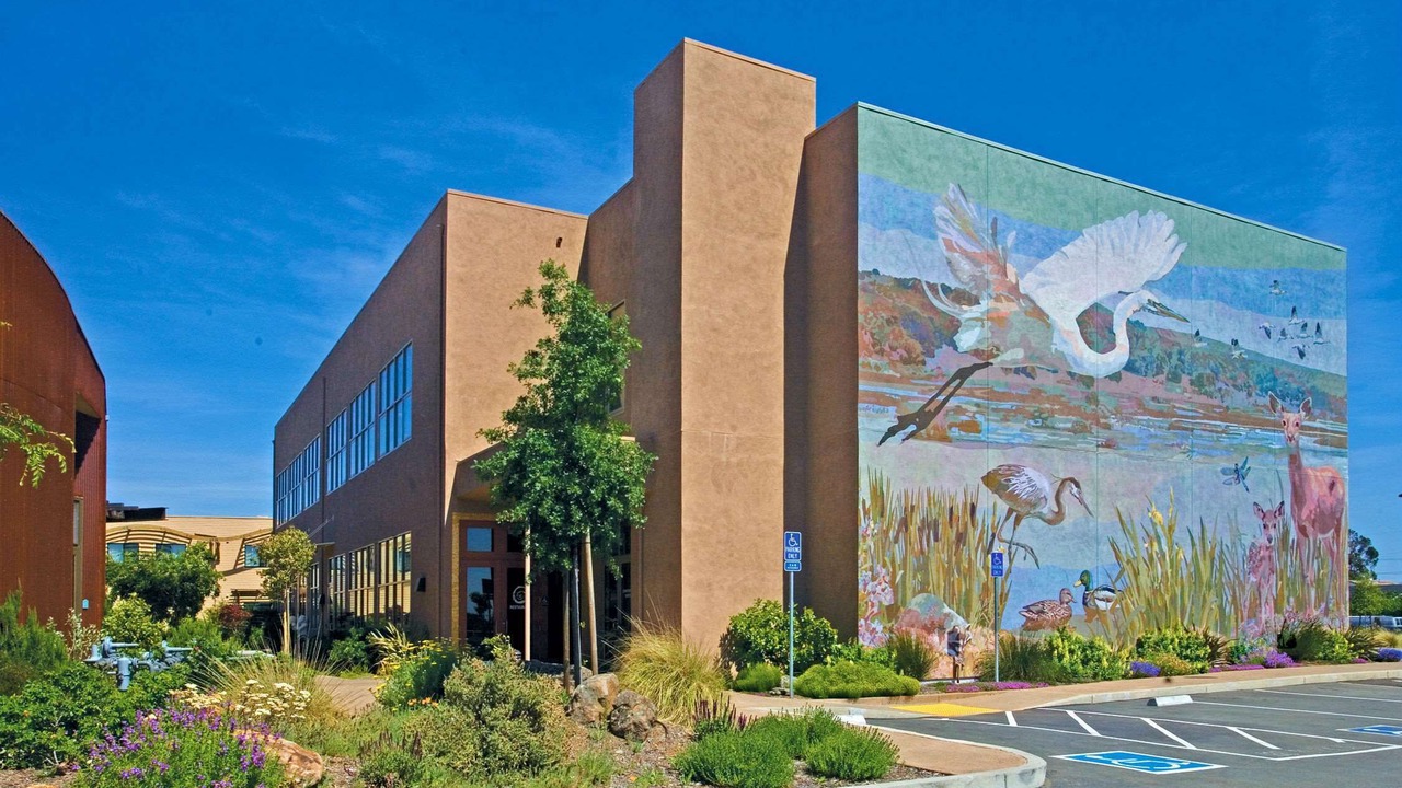 Photo of Others in American Canyon