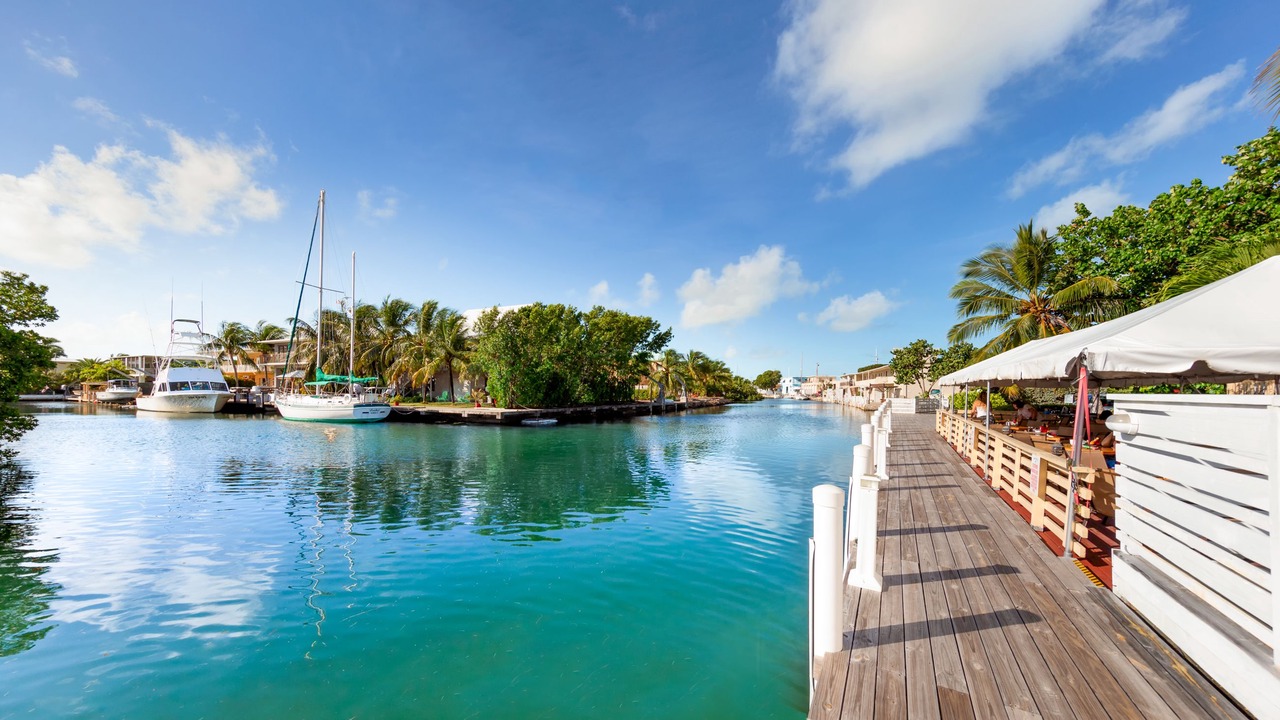 Photo of Others in Tavernier
