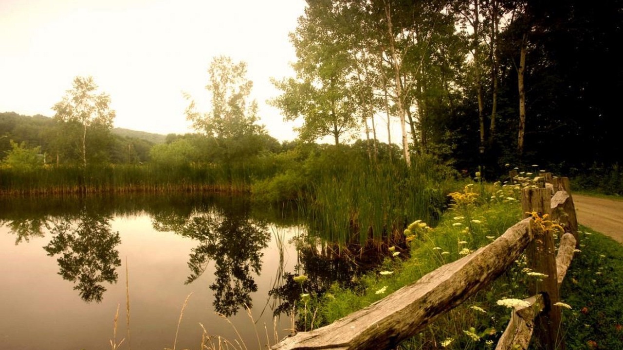 Photo of Outdoor in West Chesterfield