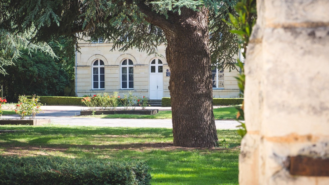 Photo of Outdoor in Roiffe