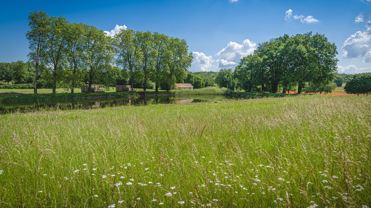 Photo of Outdoor in Roiffe