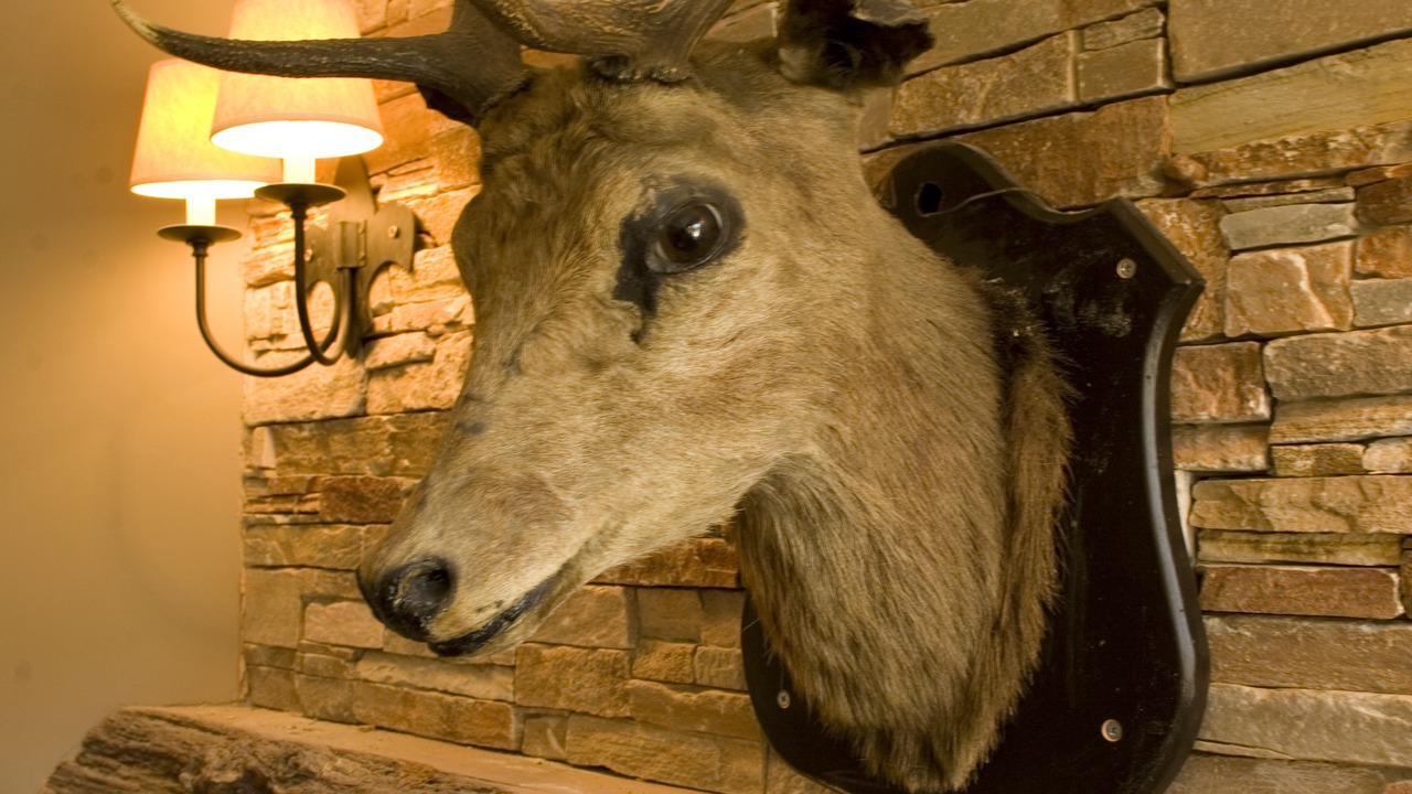 Photo of Others in Inverbeg