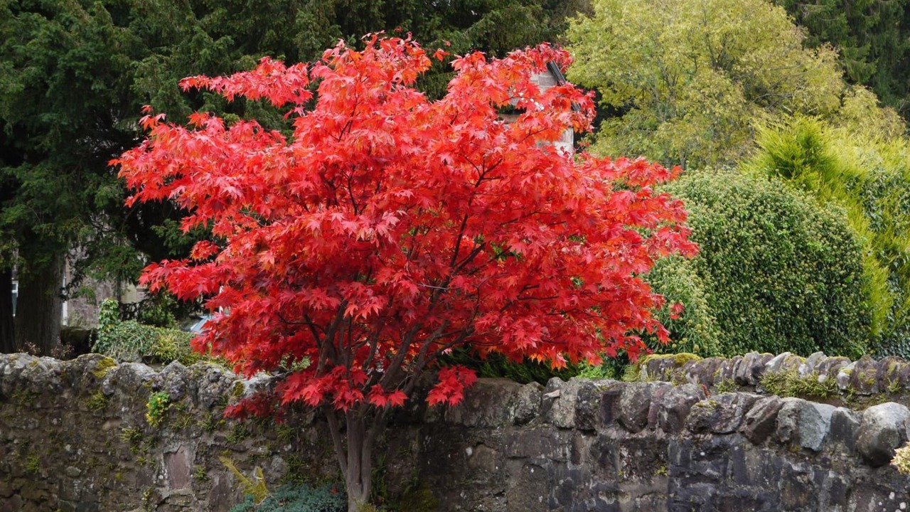 Photo of Outdoor in Callander