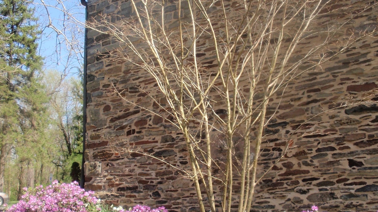 Photo of Outdoor in Princeton