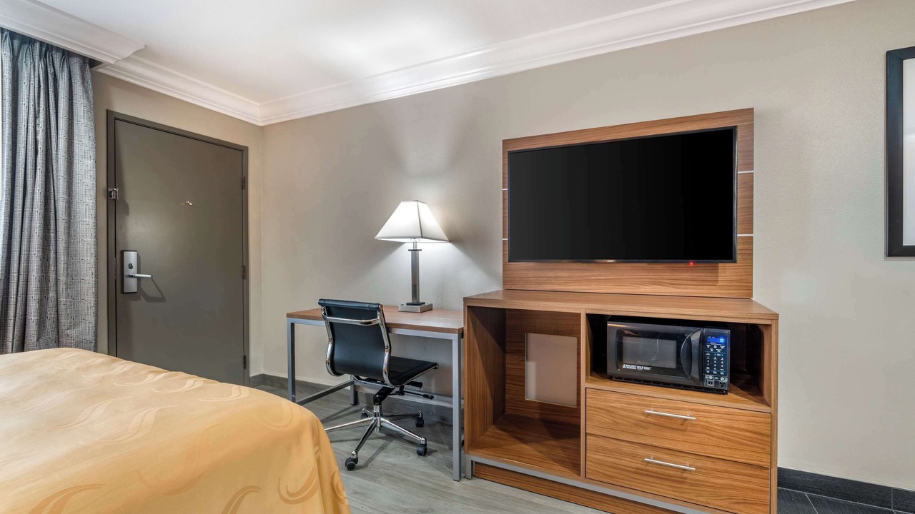 Photo of Others in Nut Tree