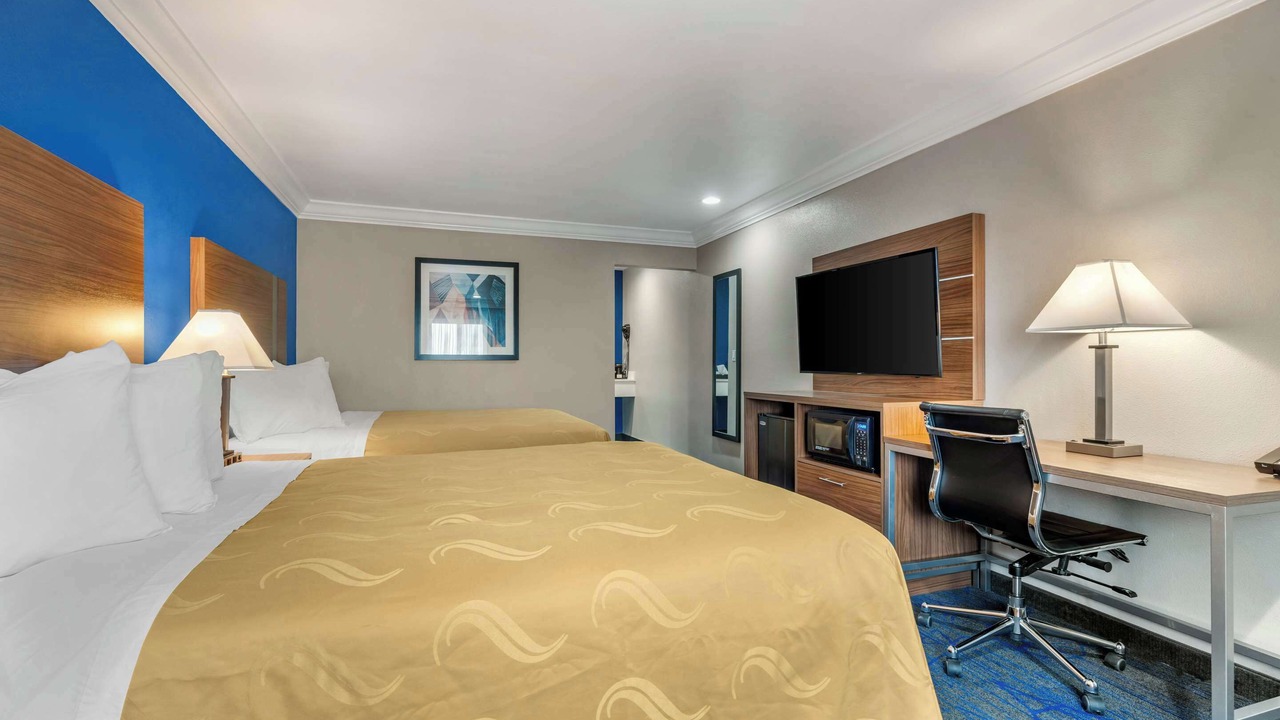 Photo of Others in Nut Tree