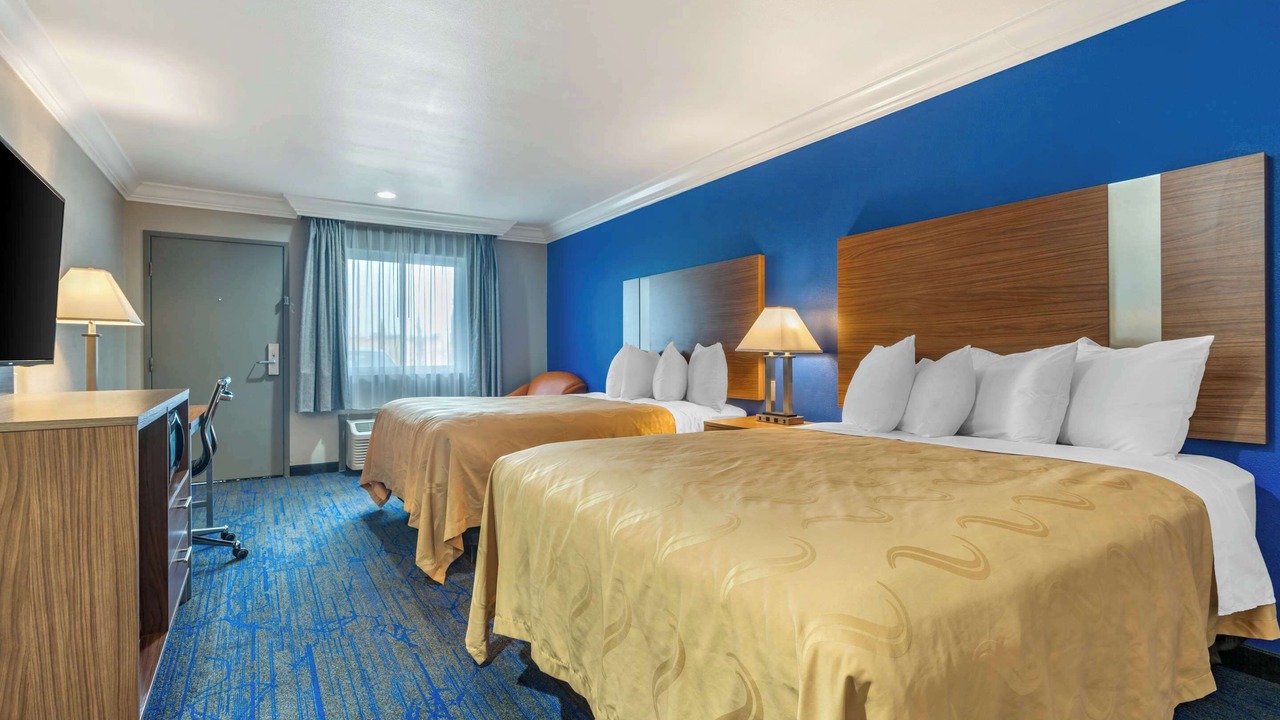 Photo of Others in Nut Tree