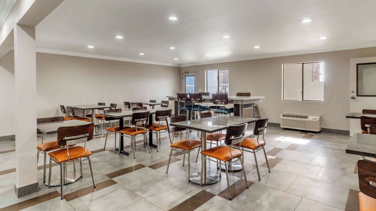 Photo of Others in Nut Tree