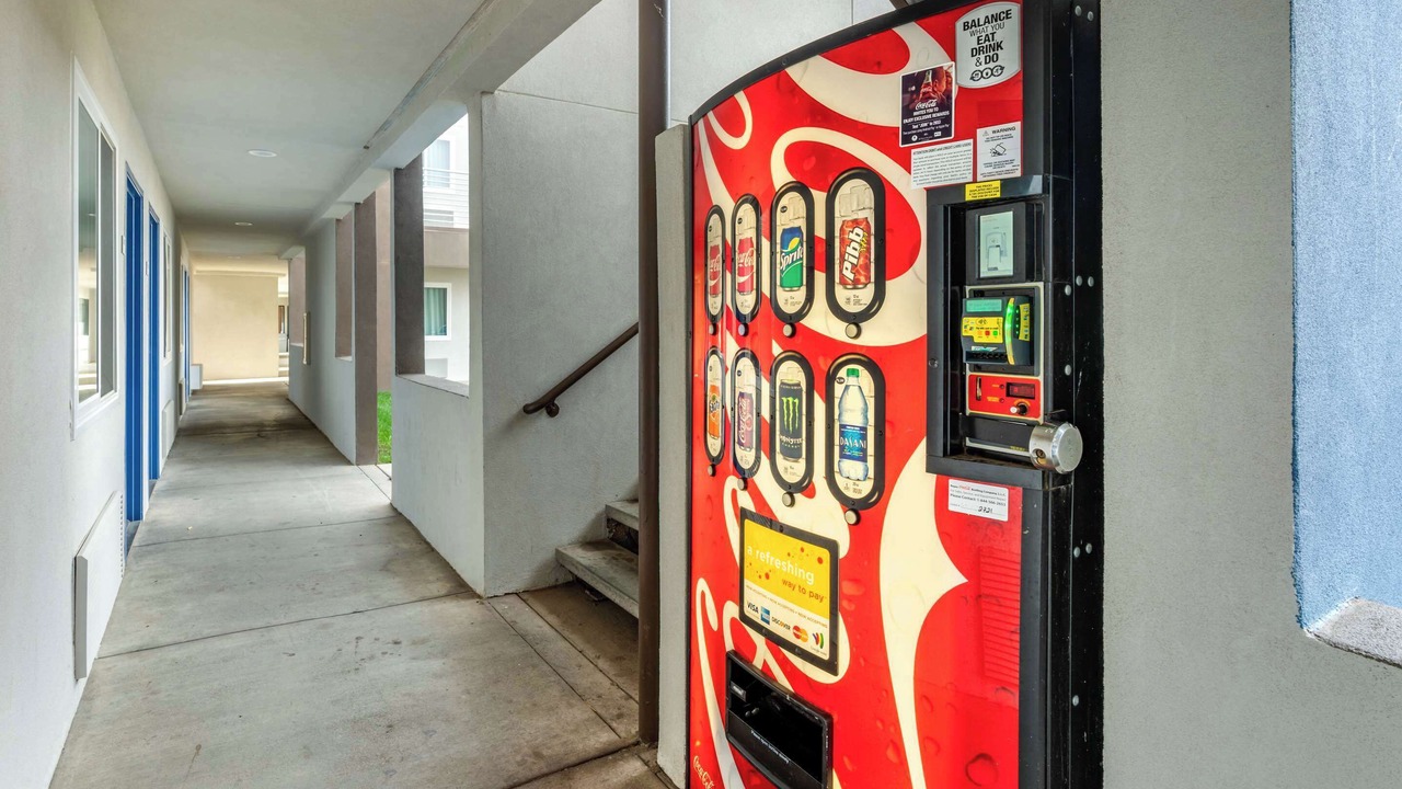 Photo of Others in Nut Tree