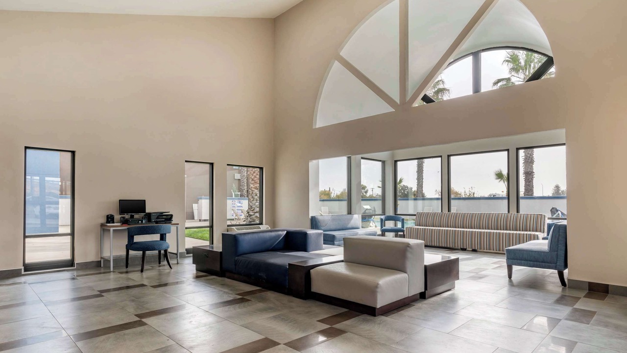 Photo of Others in Nut Tree