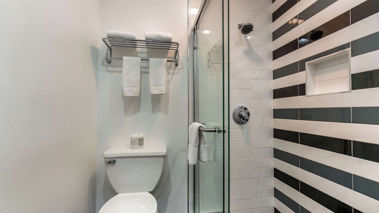 Photo of Others in Nut Tree