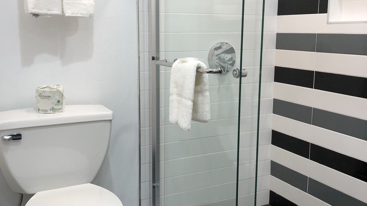 Photo of Others in Nut Tree