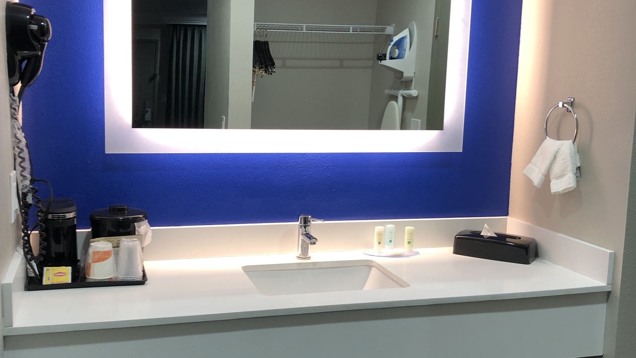 Photo of Others in Nut Tree