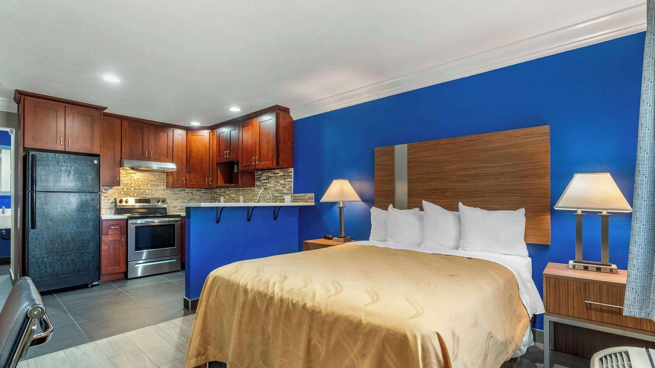 Photo of Others in Nut Tree