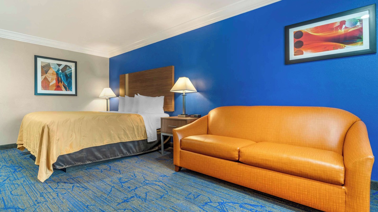 Photo of Others in Nut Tree