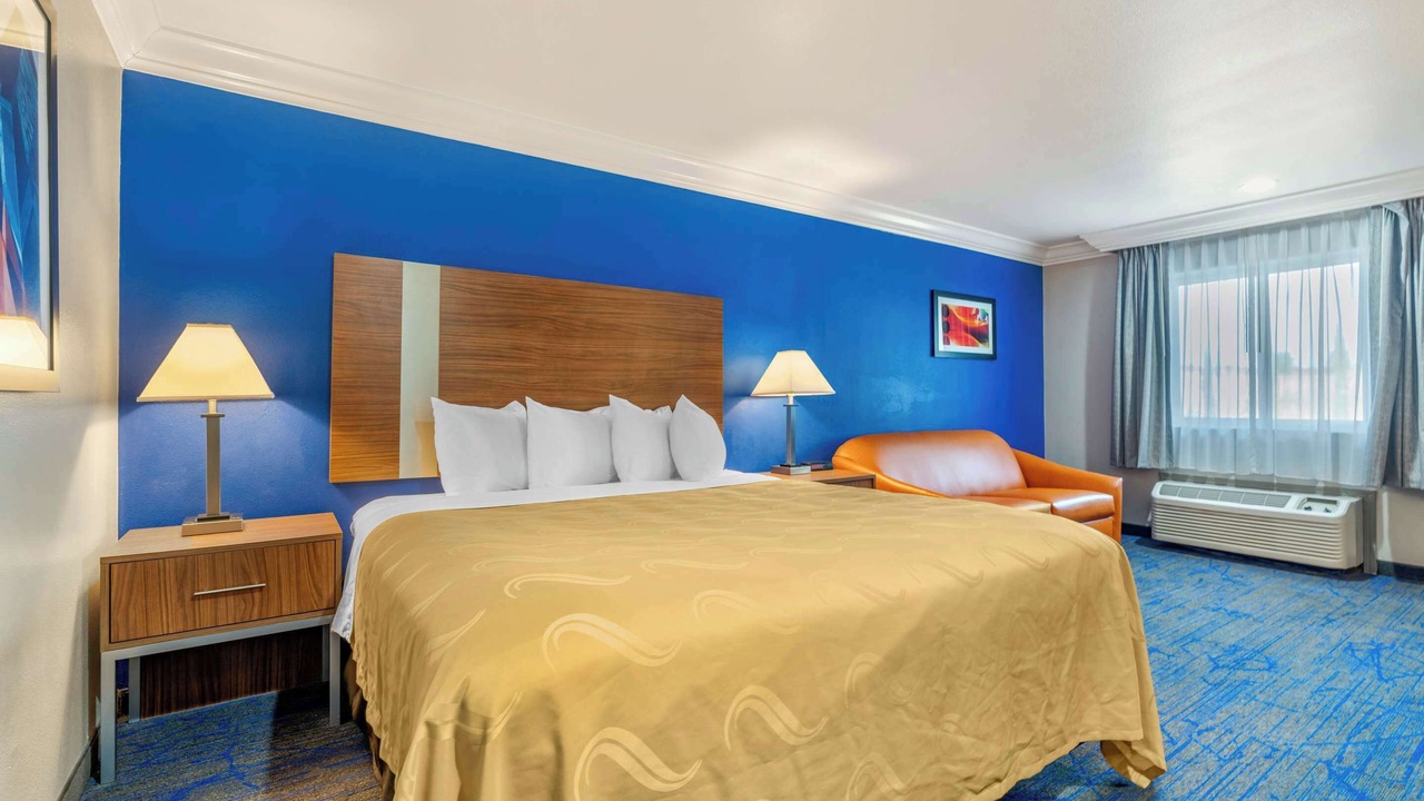 Photo of Others in Nut Tree