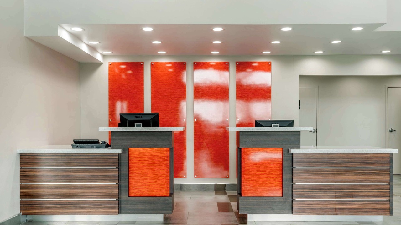 Photo of Others in Nut Tree