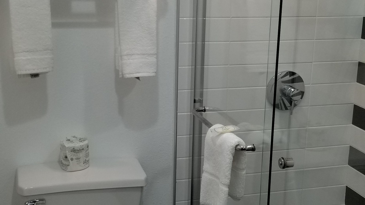 Photo of Others in Nut Tree