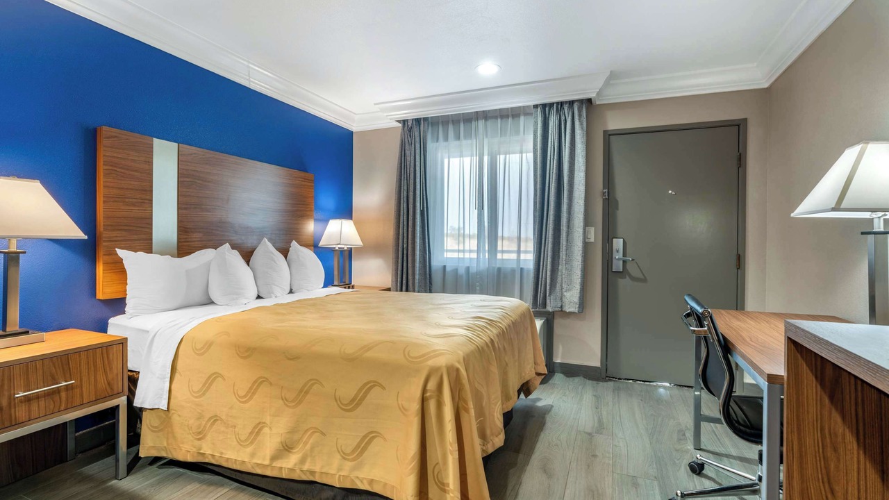 Photo of Others in Nut Tree