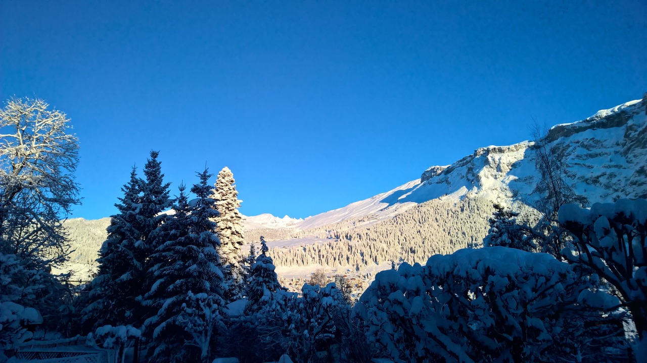 Photo of Others in Flims