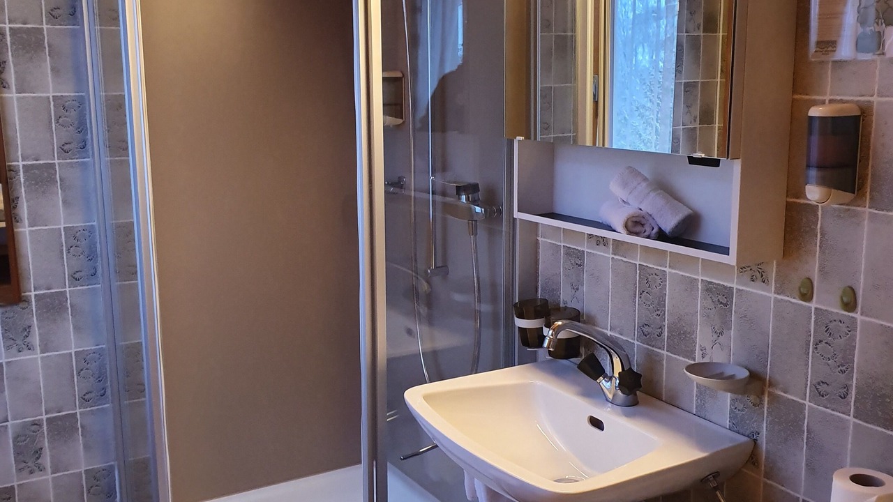 Photo of Bathroom in Kiental