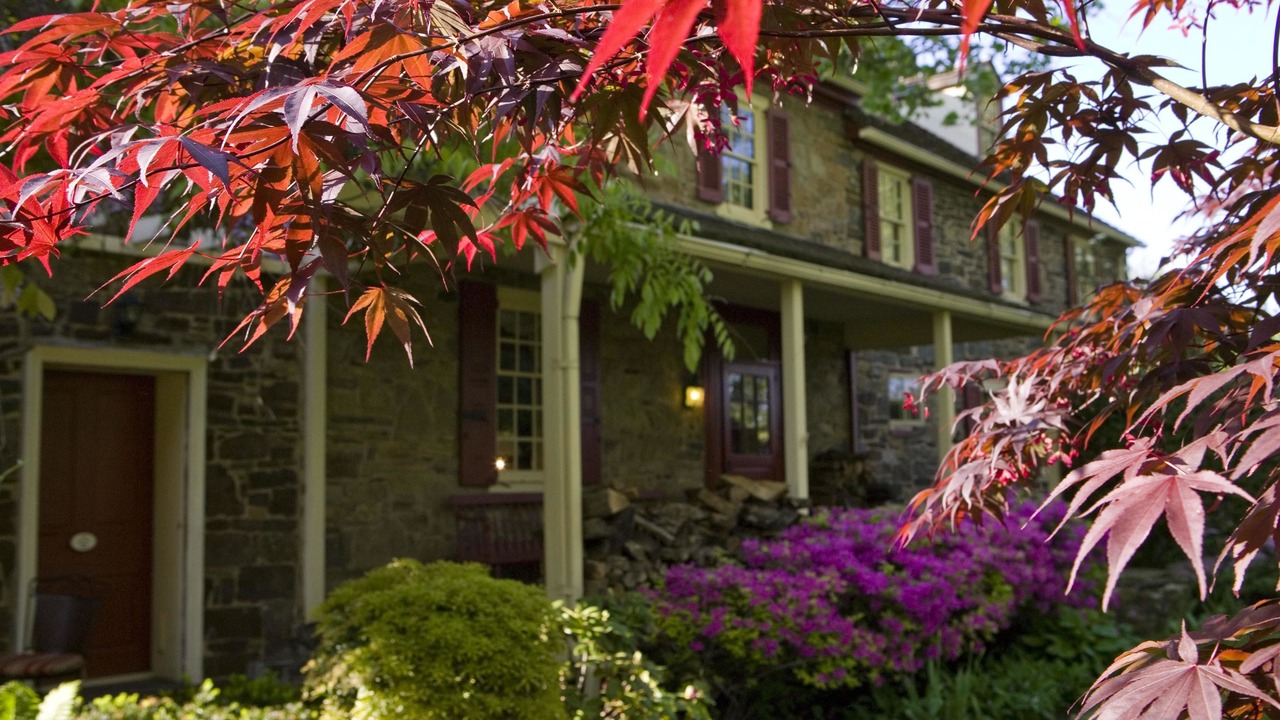 Photo of Outdoor in North Wales