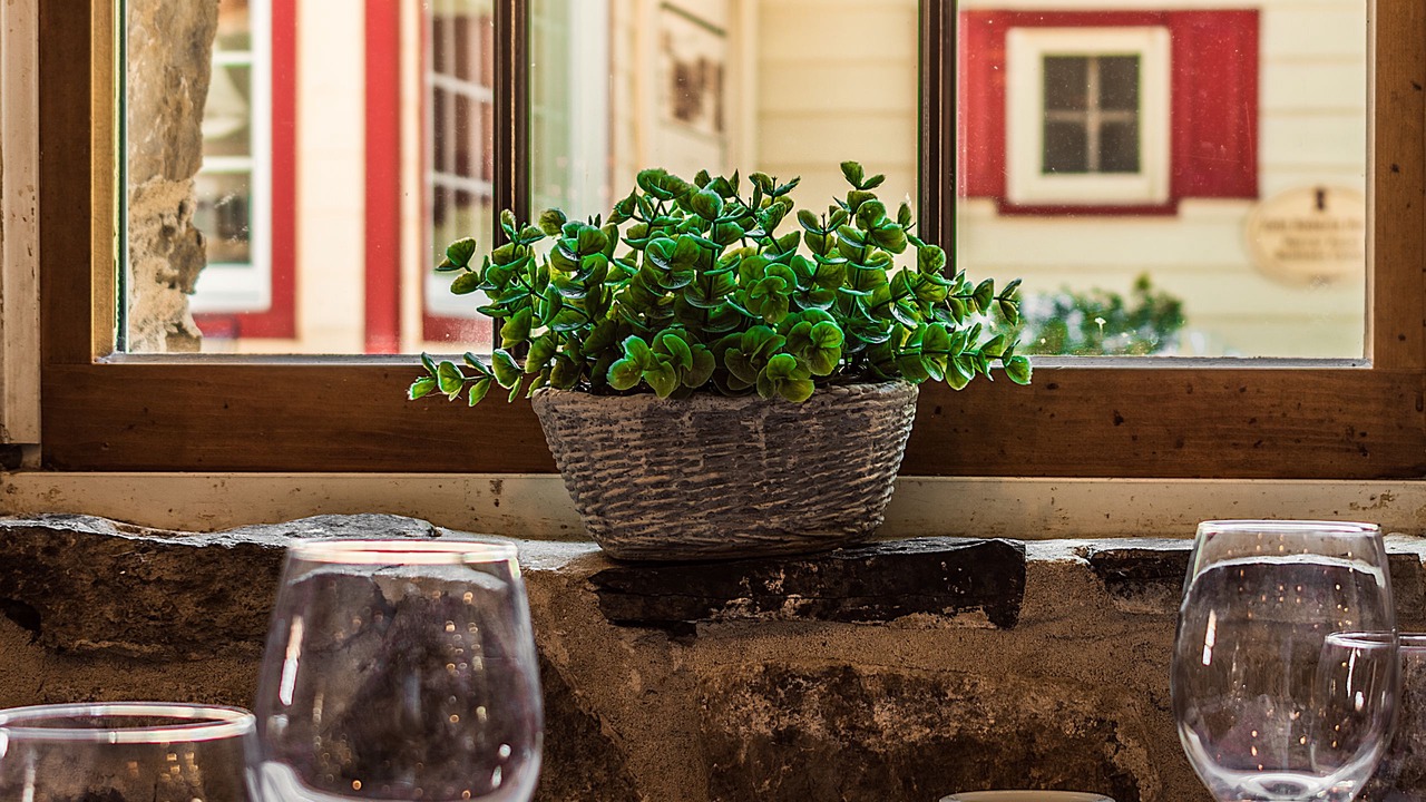 Photo of Outdoor in North Wales