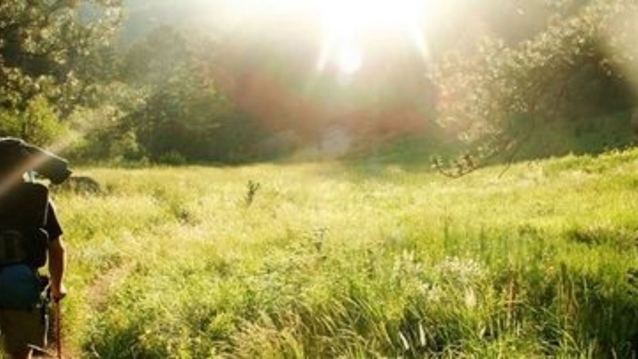 Photo of Outdoor in Cedarville