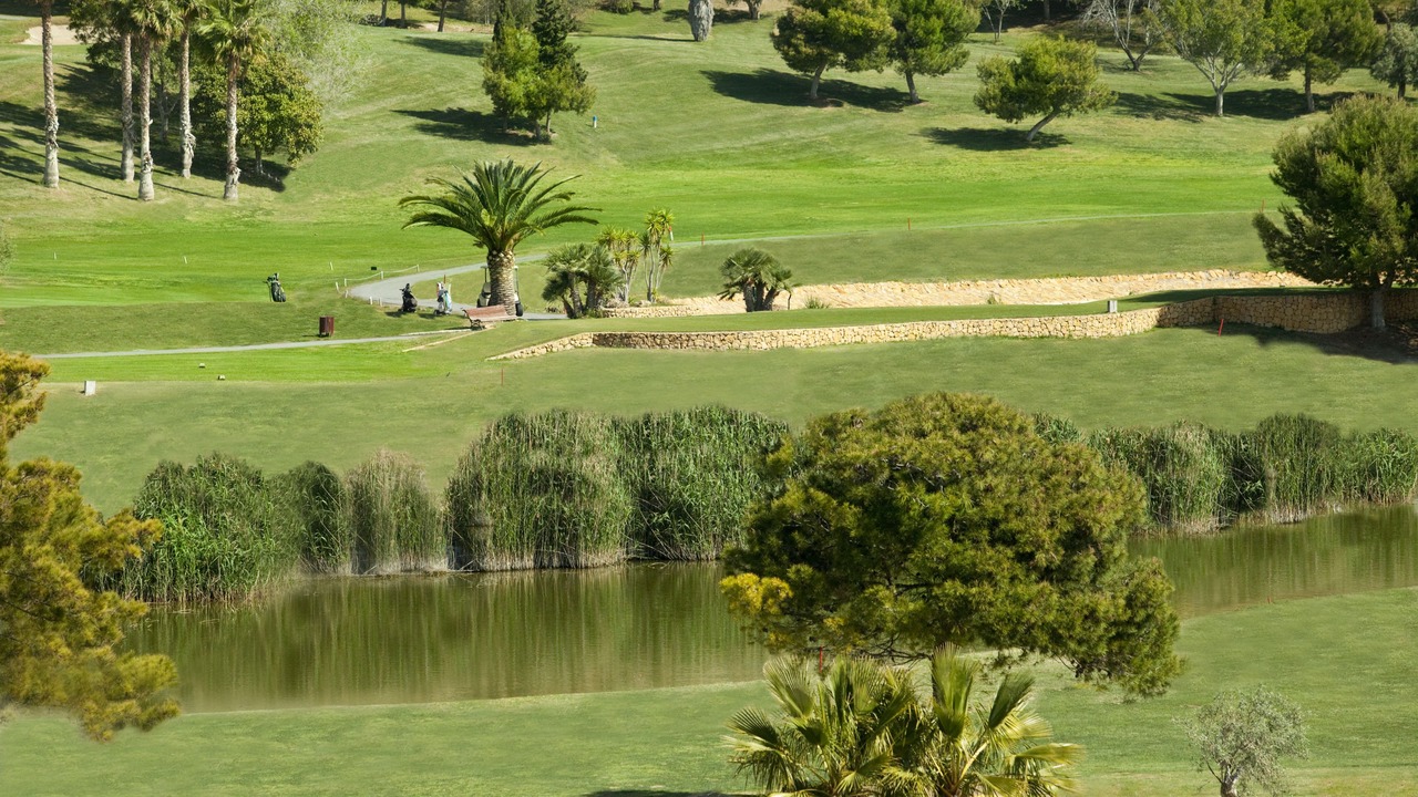 Photo of Others in Hoya de los Patos