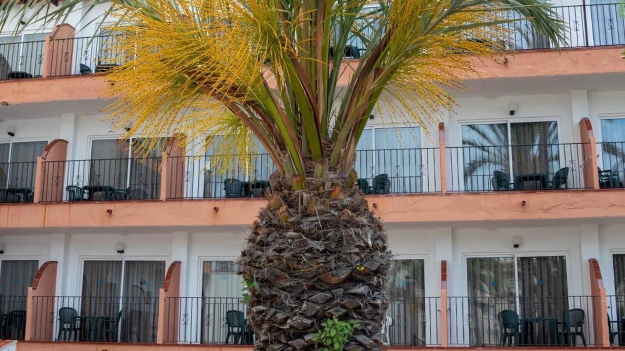 Photo of Outdoor in Comarruga