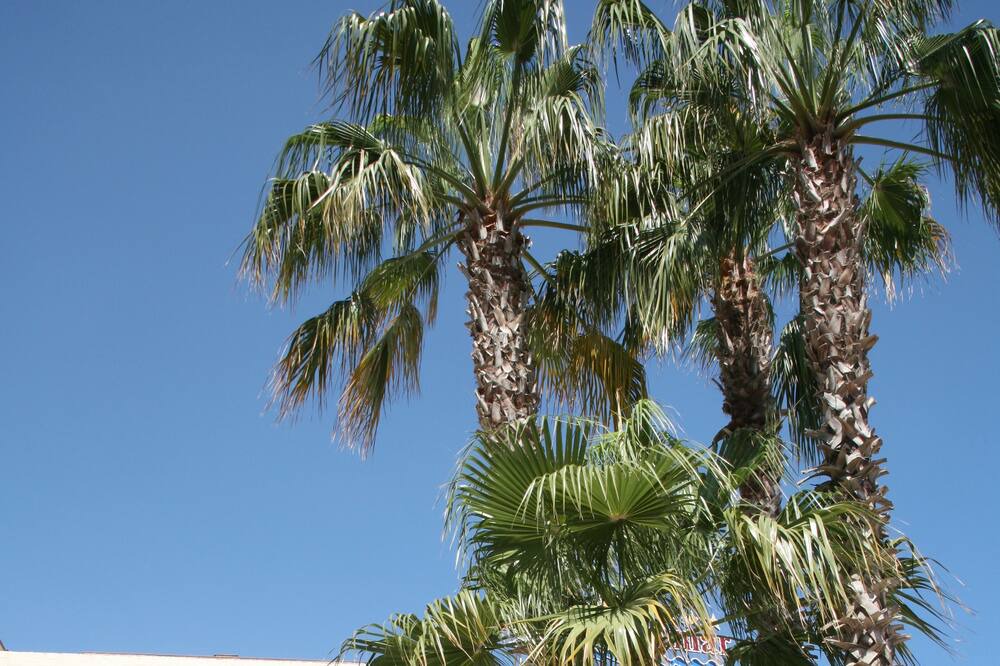 Photo of Outdoor in Malgrat de Mar
