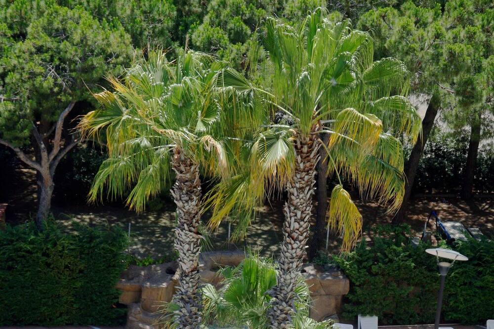 Photo of Outdoor in Malgrat de Mar