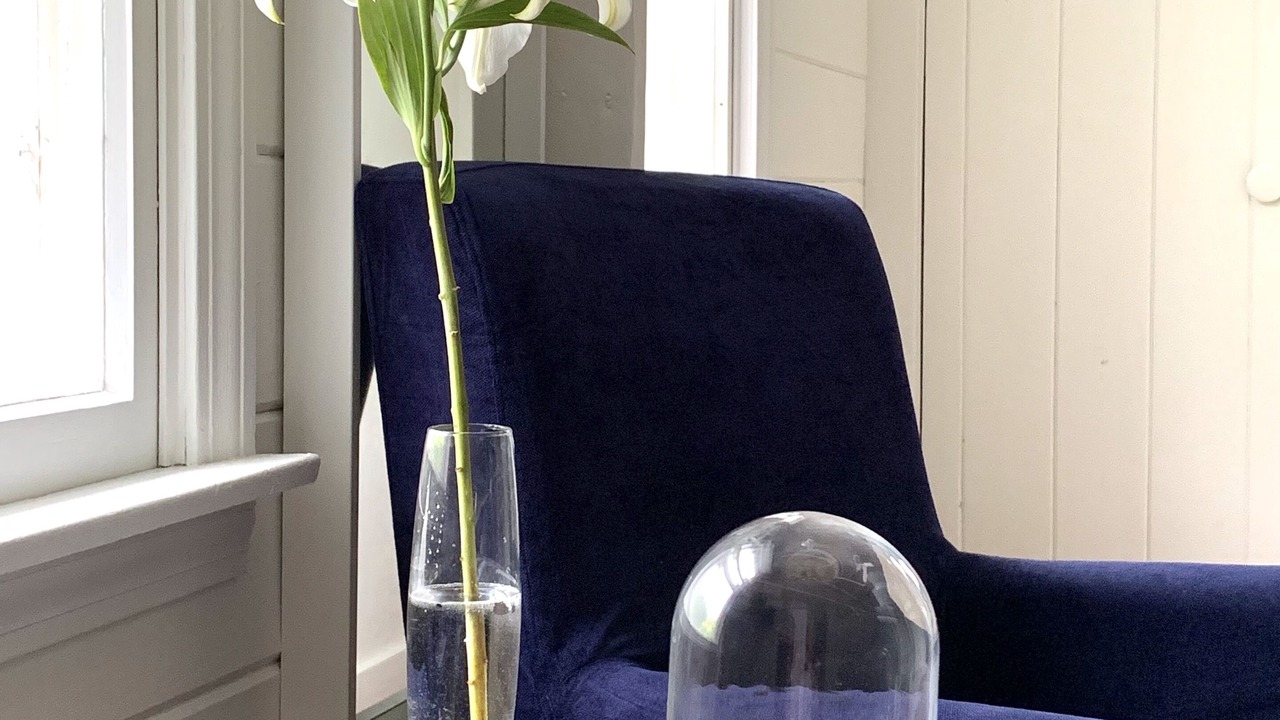 Photo of Bedroom in Wilmington