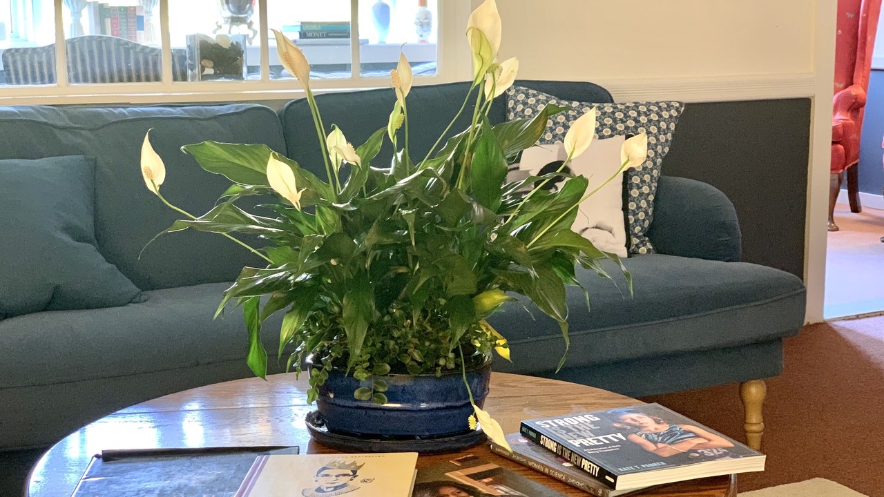 Photo of Others in Wilmington