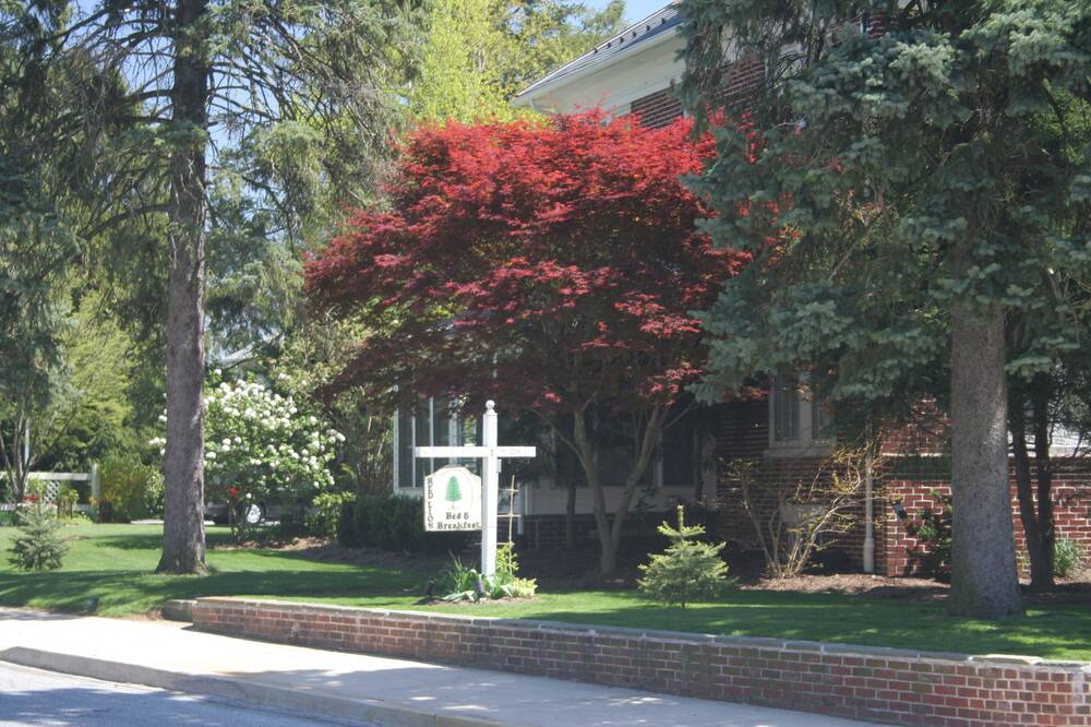 Photo of Outdoor in Red Lion