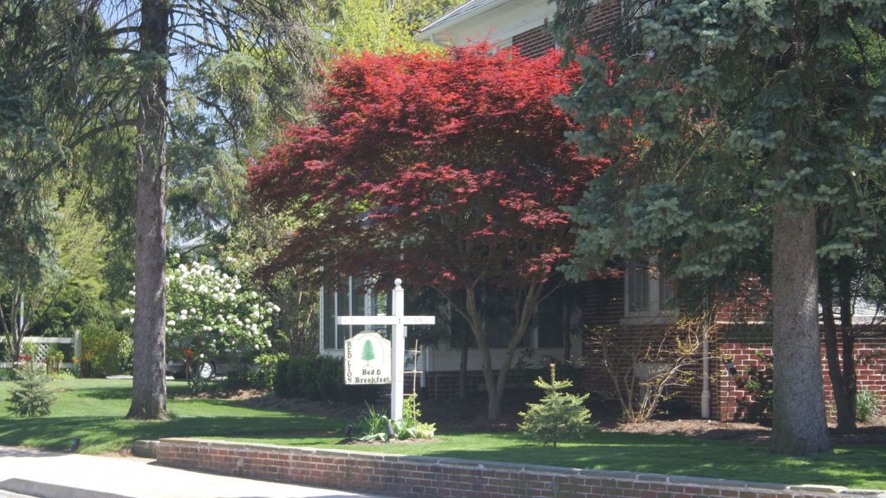 Photo of Outdoor in Red Lion