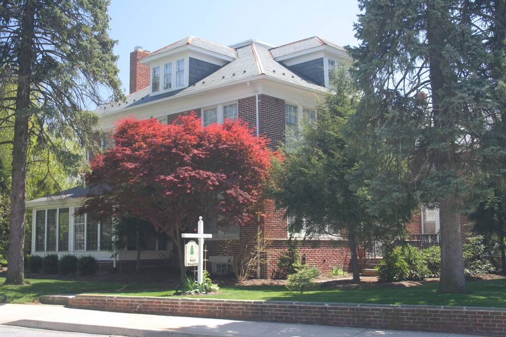Photo of Outdoor in Red Lion