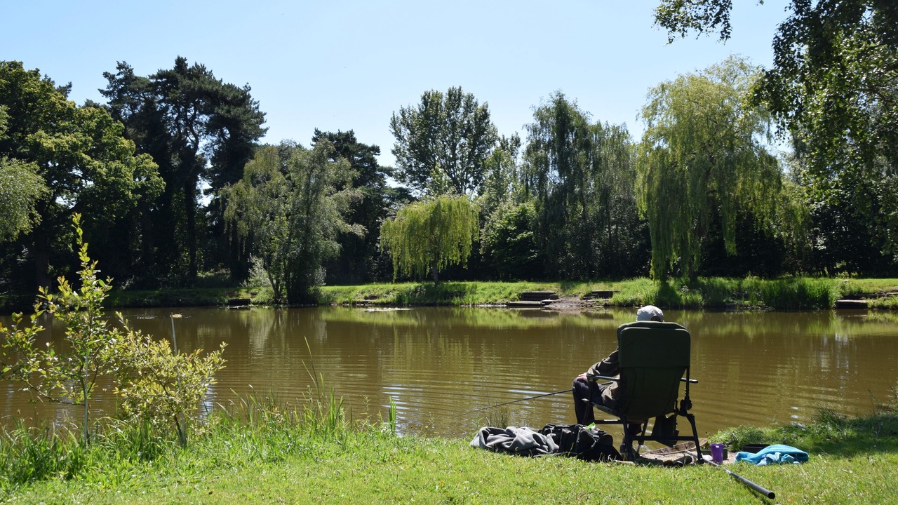 Photo of Others in Ledsham