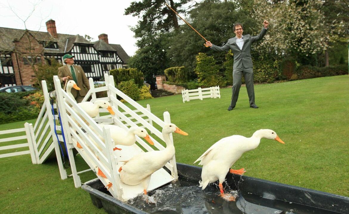 Photo of Others in Ledsham