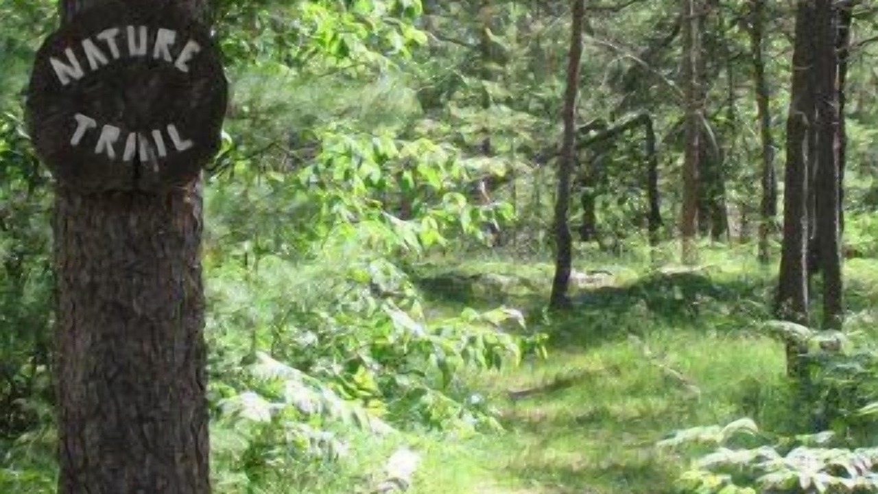 Photo of Outdoor in Grayling